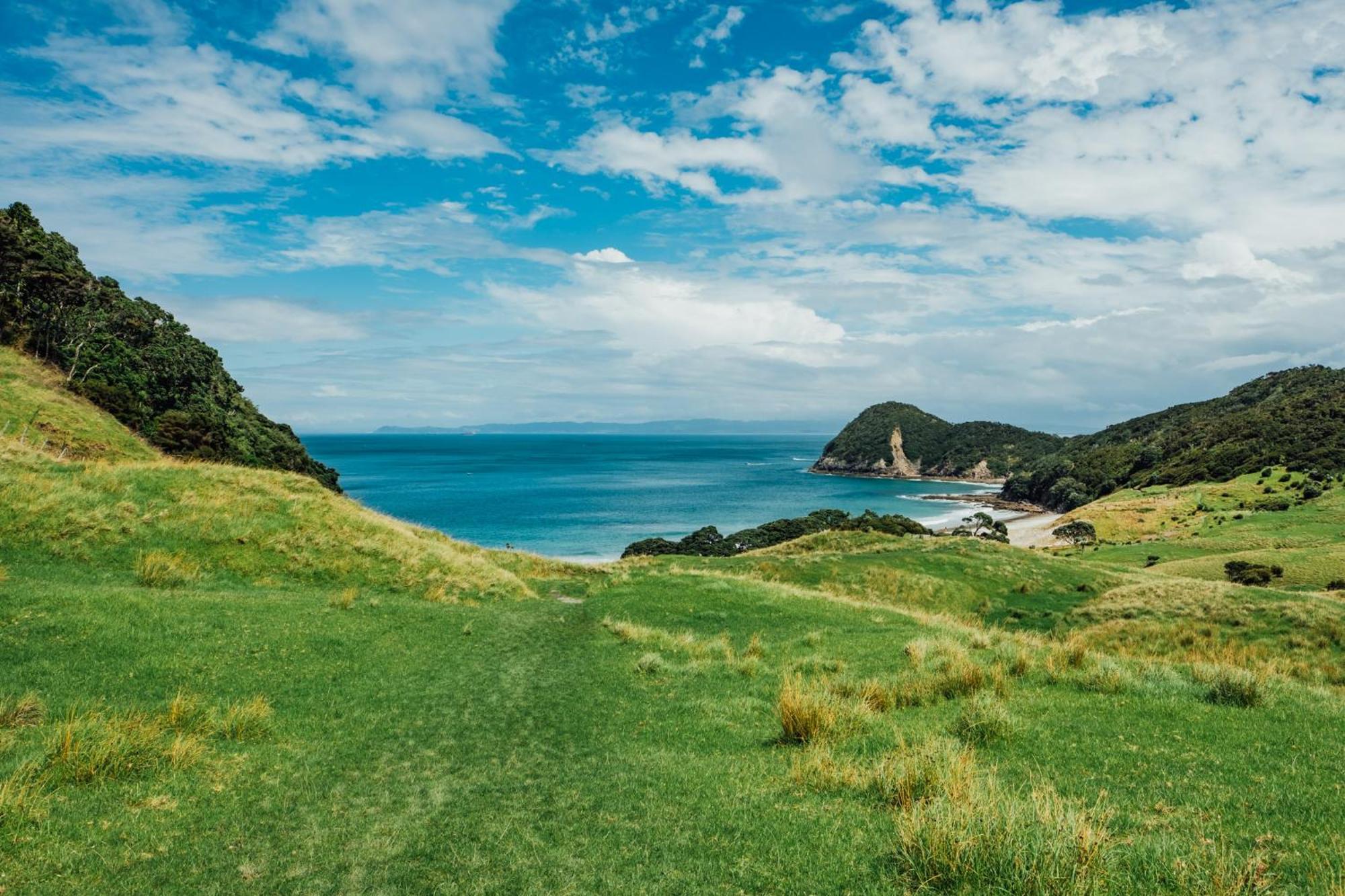 Вілла Stuart'S Whangarei Heads Екстер'єр фото